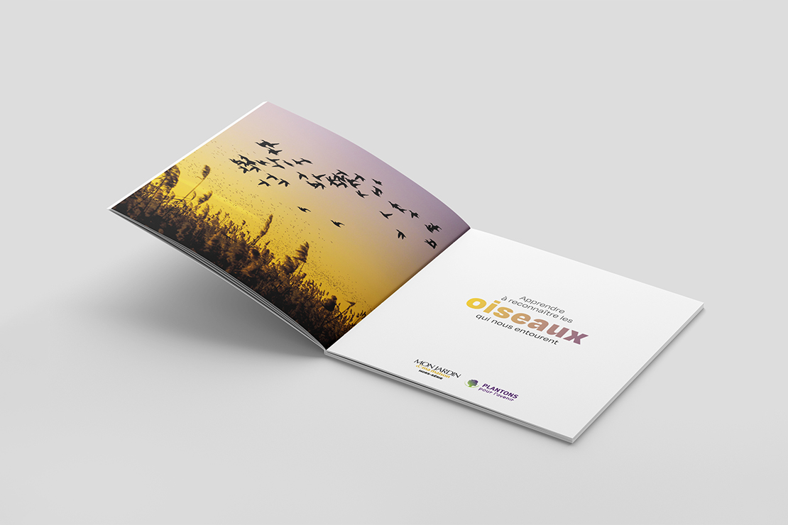 apprendre à reconnaître les oiseaux, page de titre