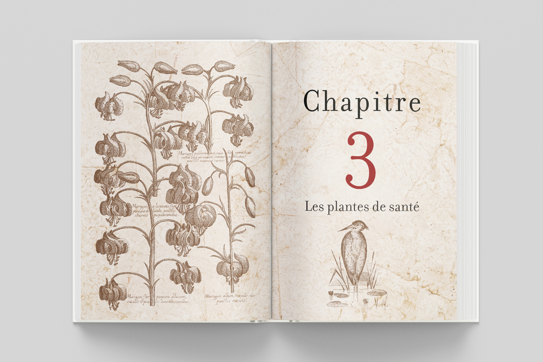 les remèdes de santé d'hildegarde de bingen, ouverture du chapitre 3, les plantes de santé