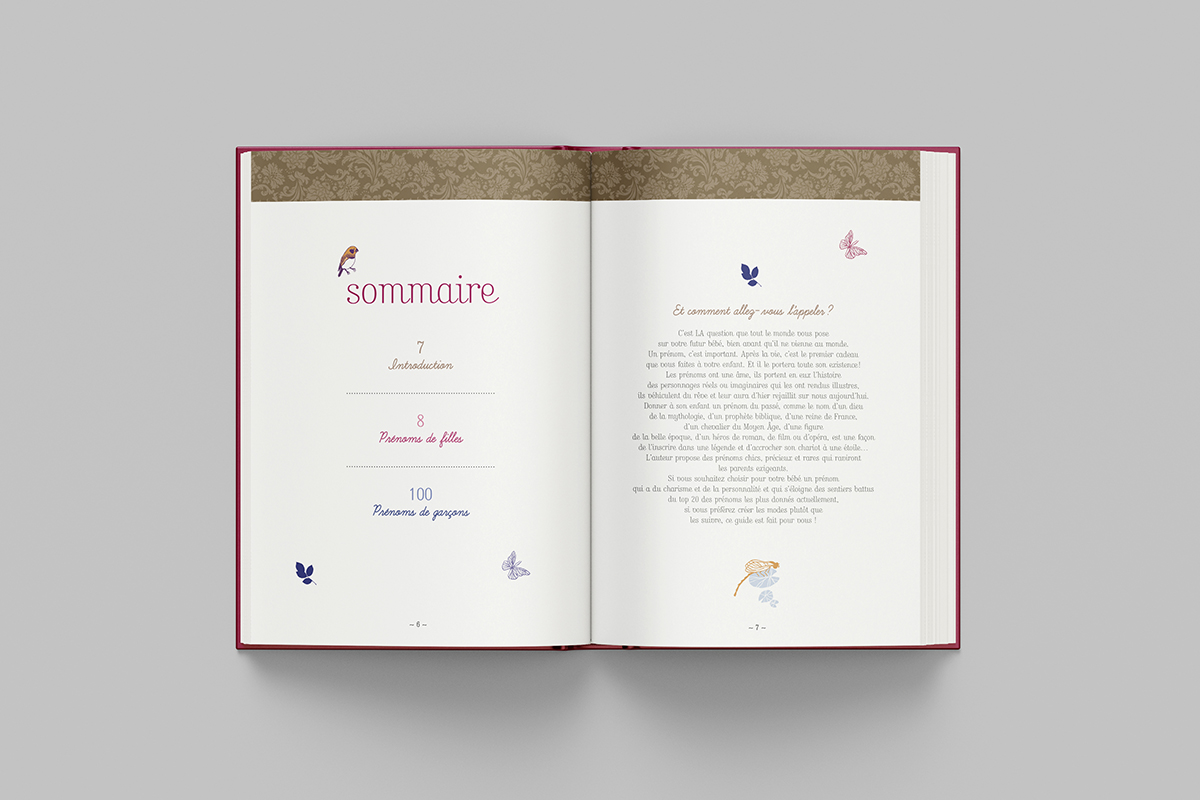 le guide des plus beaux prénoms rétro, sommaire et introduction